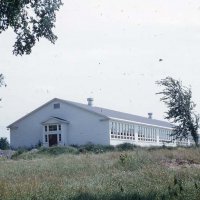 albion elementary 1953